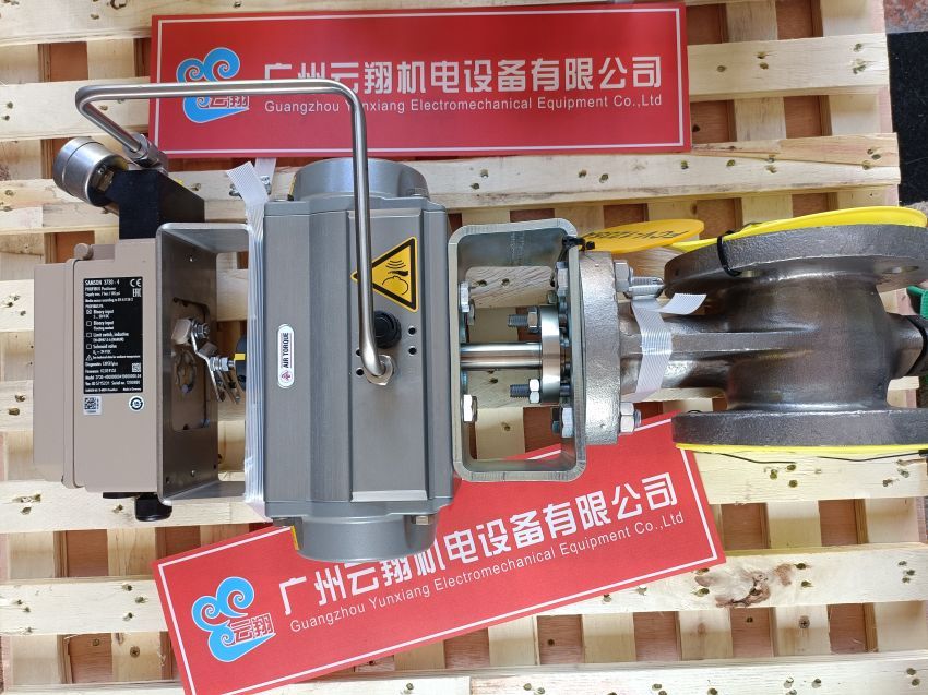 SAMSON 定位器 Feb-30