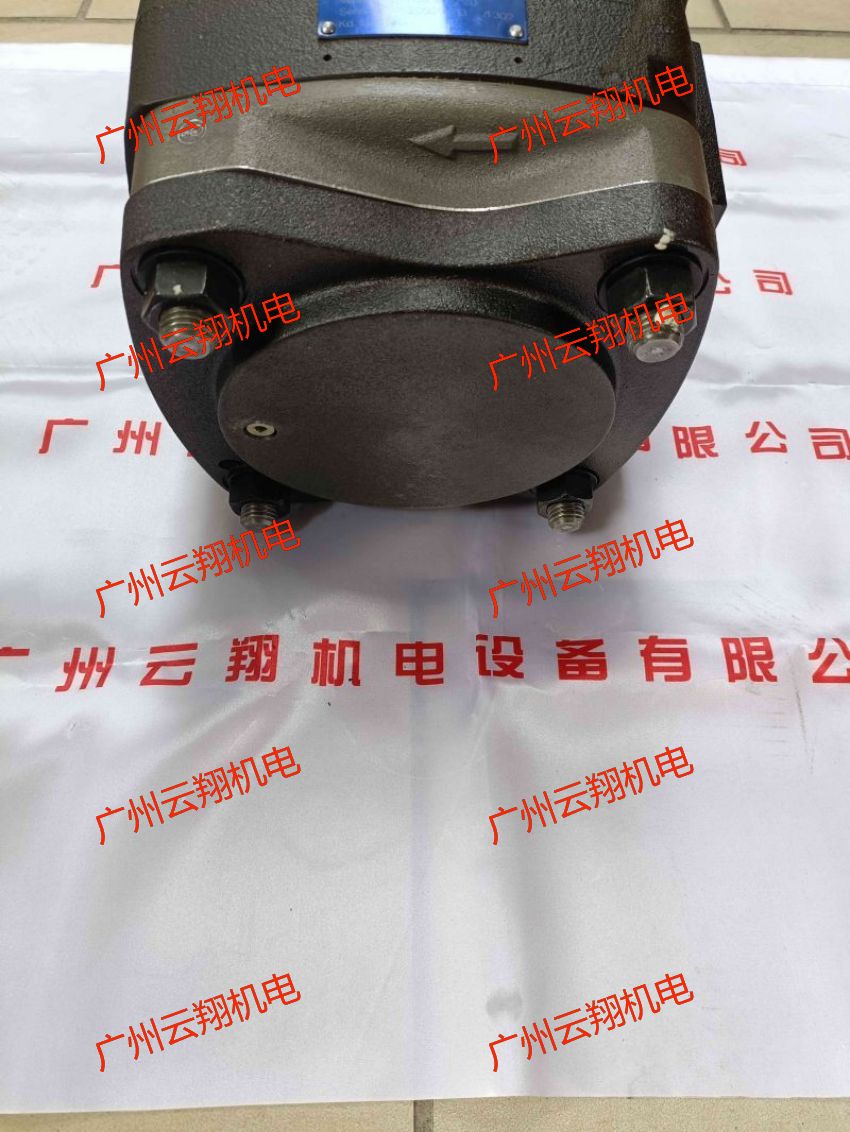 Voith福伊特IPVP5-25-111