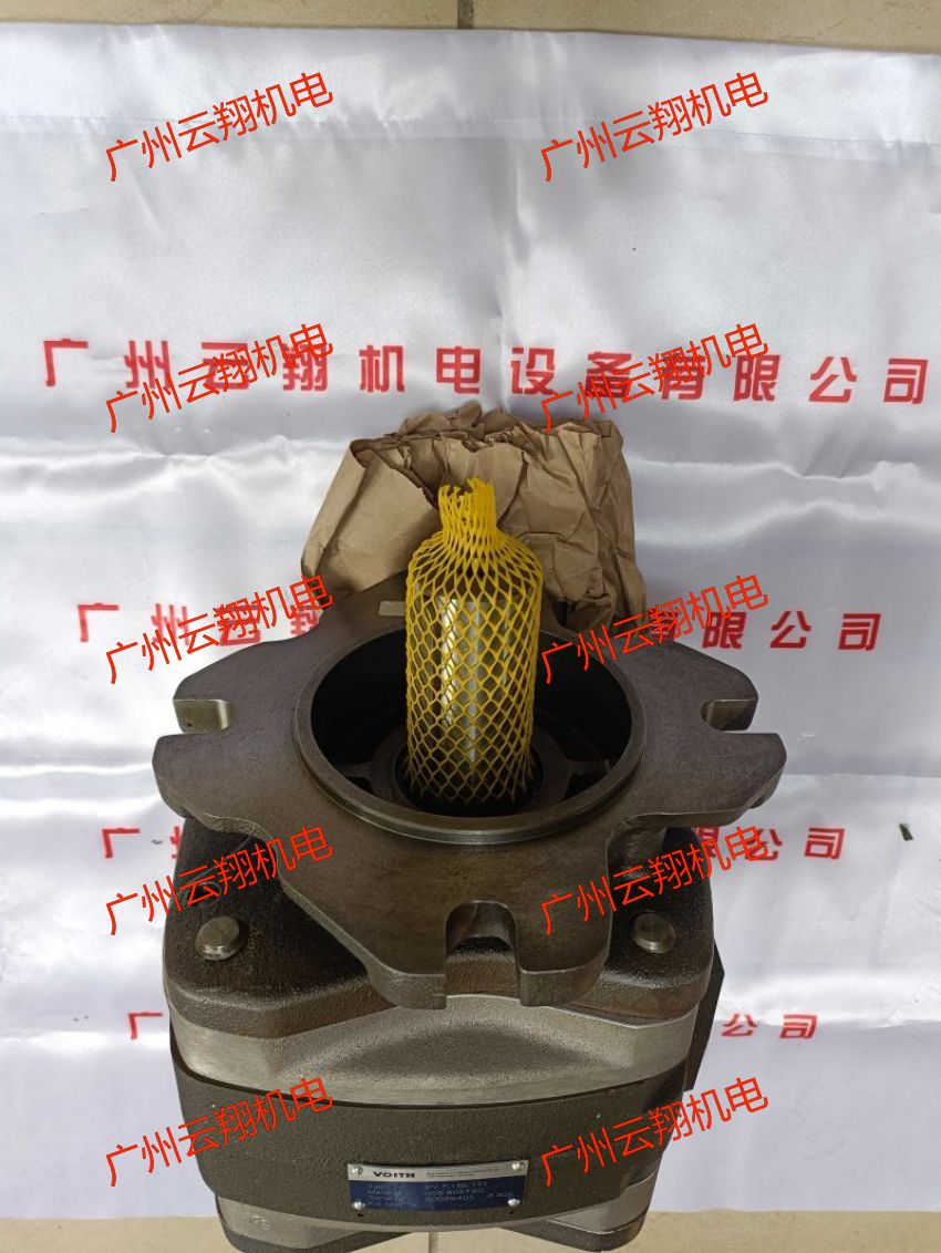 Voith福伊特IPVP5-50-111