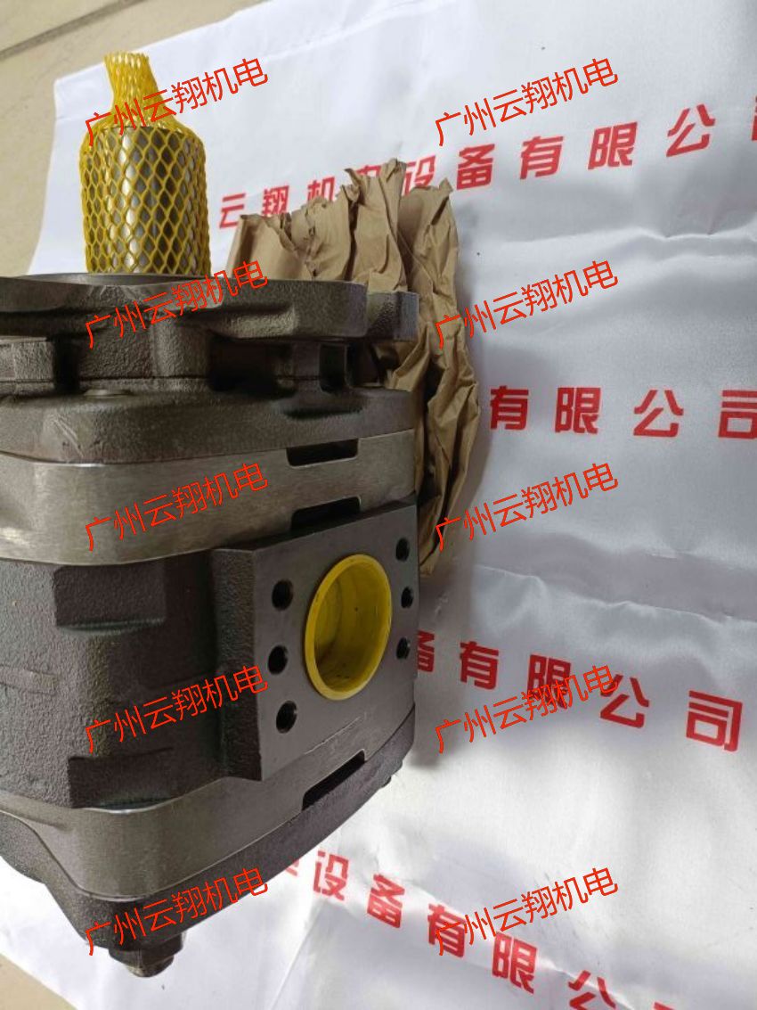 Voith福伊特IPVP6-80-101