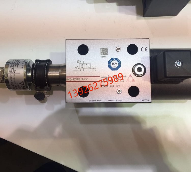 意大利ATOS阿托斯齿轮泵 PFG-218