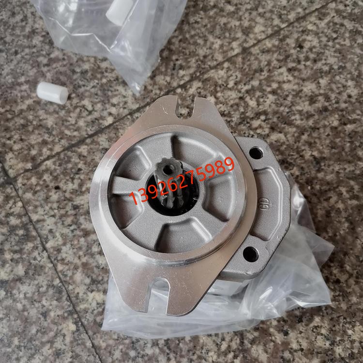  意大利ATOS阿托斯双联叶片泵 PFED-54110/045/1DUO