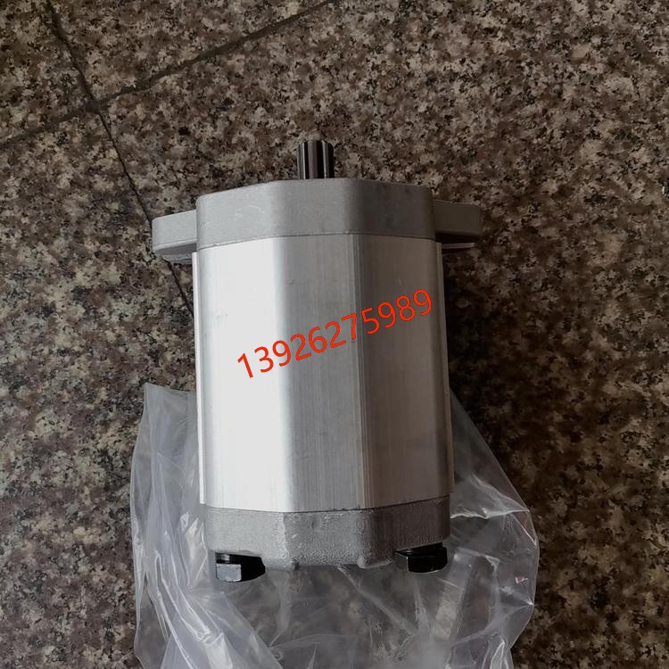 意大利ATOS阿托斯双联叶片泵 PFEX2-31028/31028/1DW