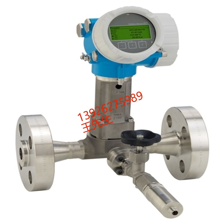 德国E+H音叉液位计 安钧仪表 FTL20-0020音叉限位开关批发