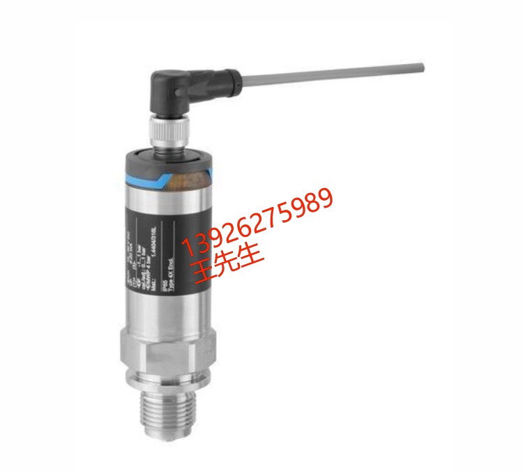 安钧仪表 E+H阻旋式物位开关FTE20厂家直销