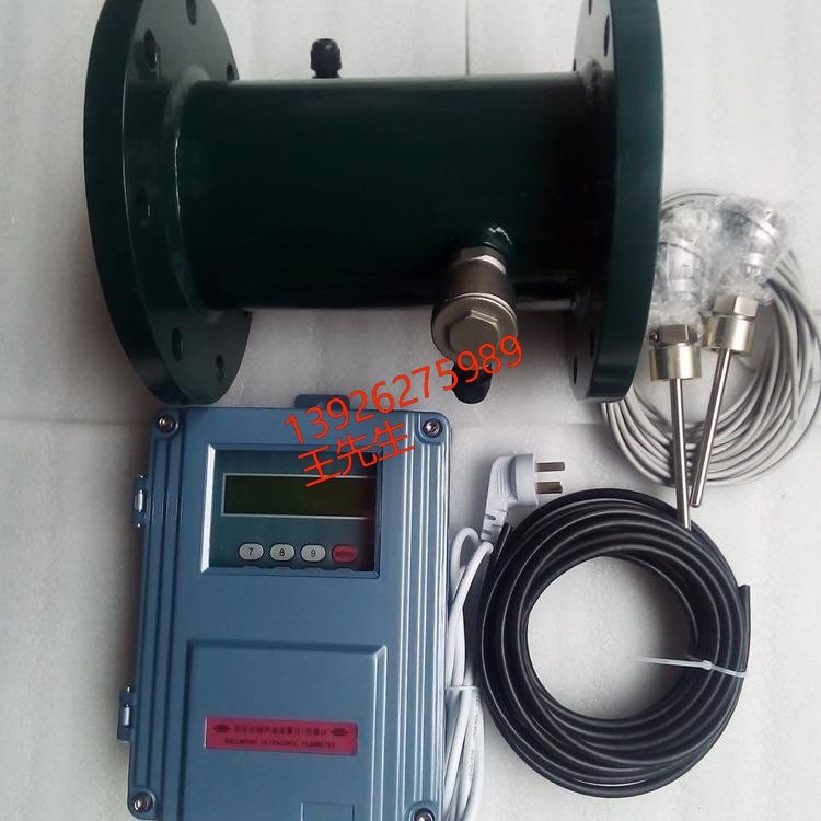 德国Endress+Hauser 73W 涡街流量计 德国E+H涡街流量计 73W