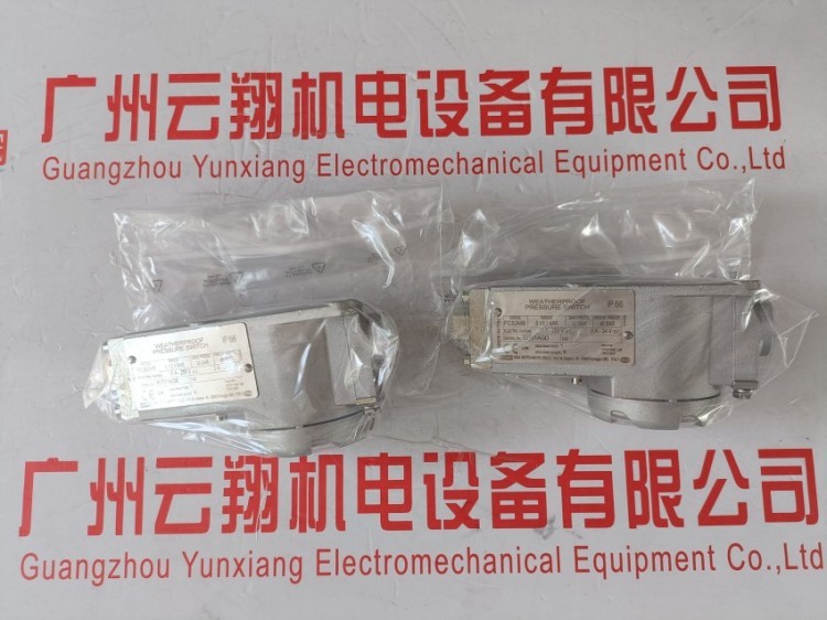 IEC 60751/PT100/PT1000德国威卡热电阻温度计