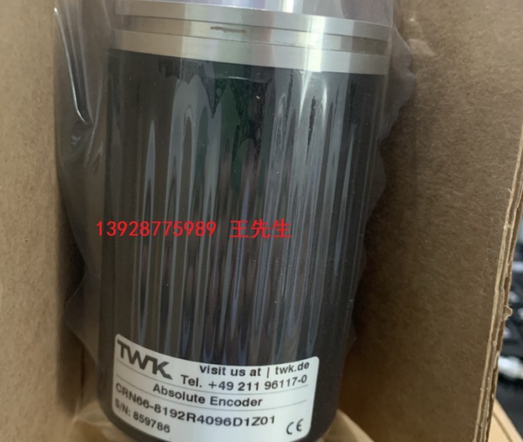 TR10热电阻PT100原装***尺寸150长直径φ6