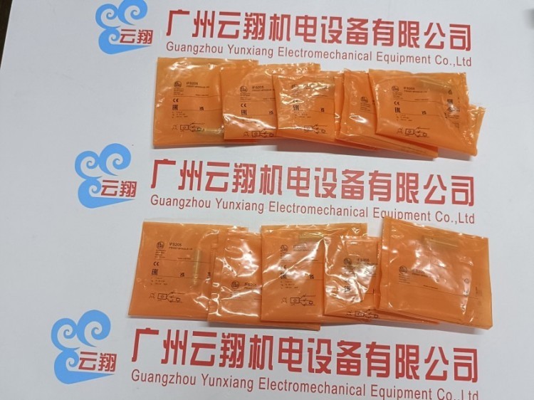 DS2503 德国易福门IFM 用于滑动及同步监控的估算单元