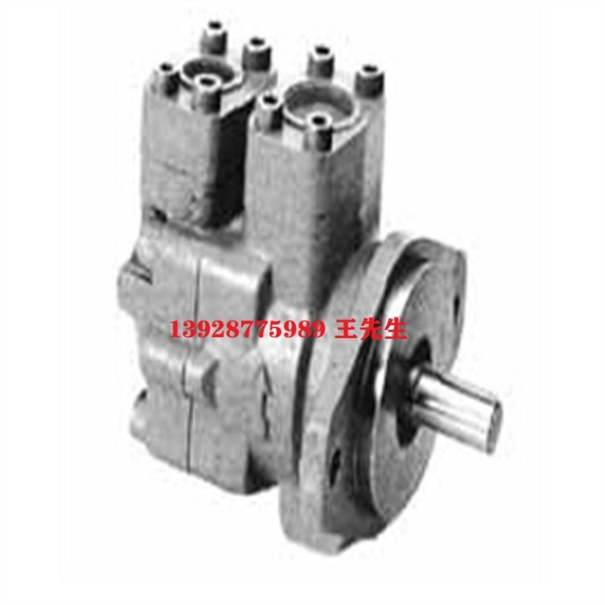 日本大金转子泵RP38C13H-55-30