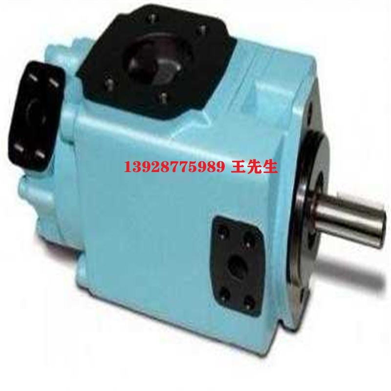  丹尼逊柱塞泵T6DC-038-017-1R00-C100