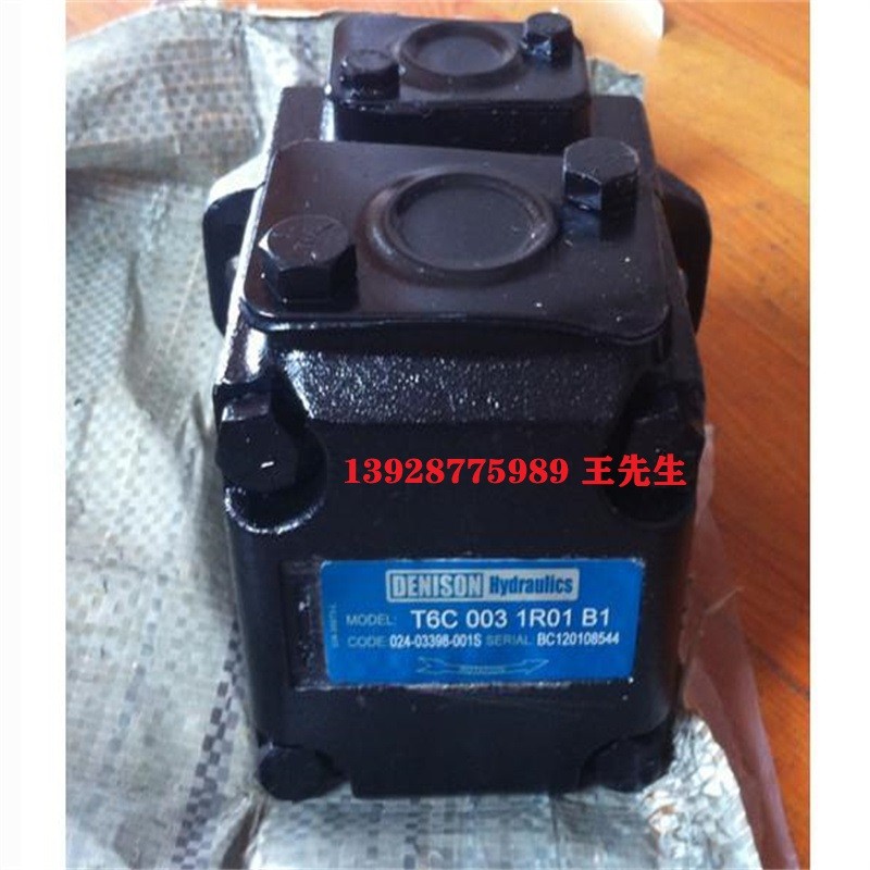 丹尼逊柱塞泵T6E-062-1R00-C1