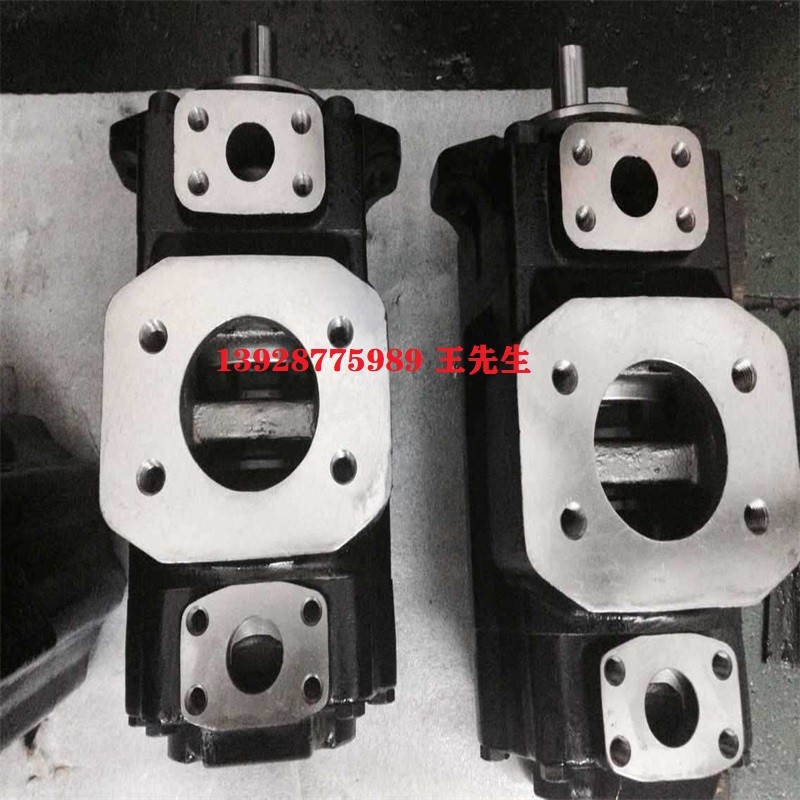 丹尼逊叶片泵T7DDBS-050-B22-B12-1R00-A1-M0