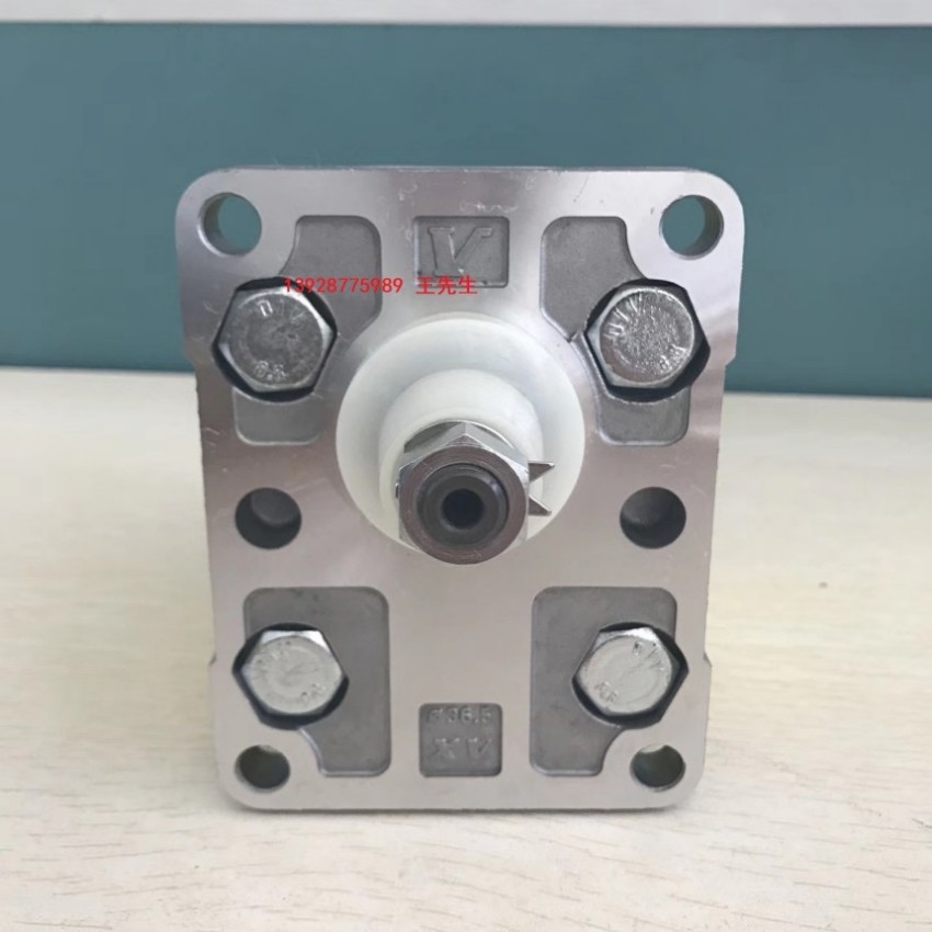 VIVOIL齿轮泵XV-2P/04 D