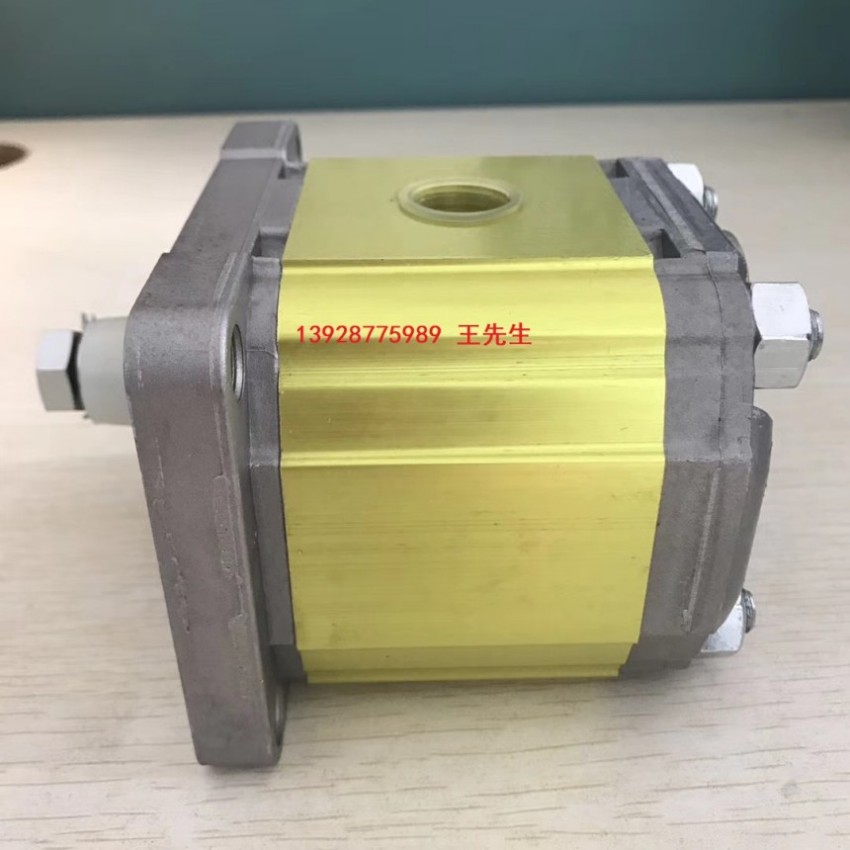 VIVOIL齿轮泵XV-2P/11 S