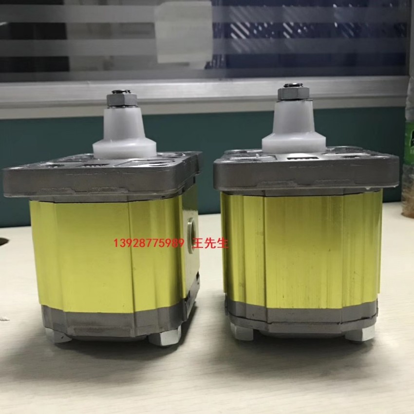 VIVOIL齿轮泵XV-2P/17 S