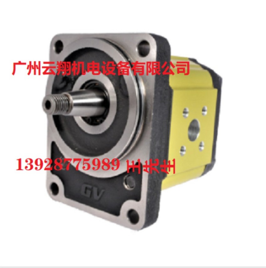 VIVOIL齿轮泵XV-3P/18 D