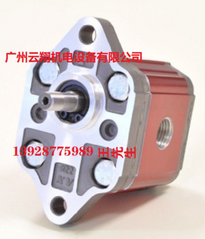 VIVOIL齿轮泵XV-3P/21 D