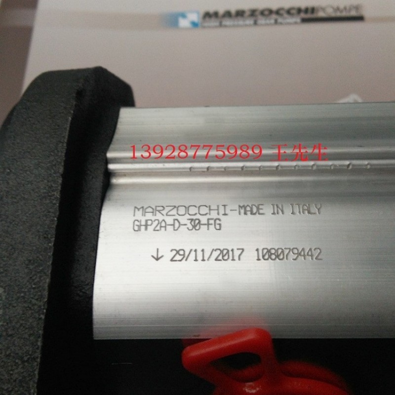  马祖奇齿轮泵ALP2BK2-D-25-FG-V