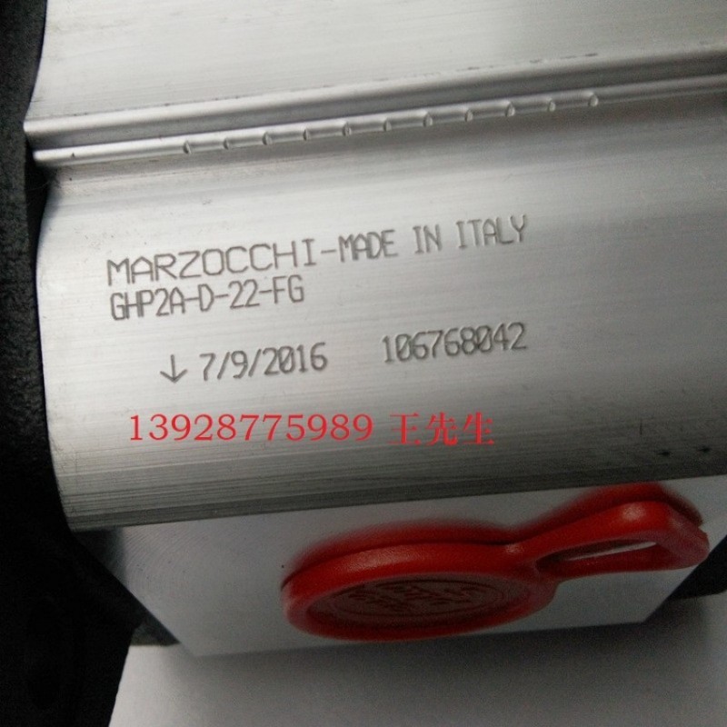  马祖奇GHP2A-D-20-FG齿轮泵