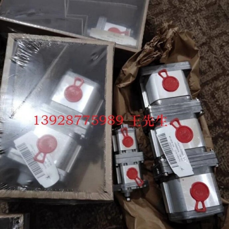 ALP2A-D-22-FG马祖奇齿轮泵，