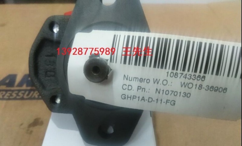  马祖奇双联齿轮泵ALP2-D-34-FG-V