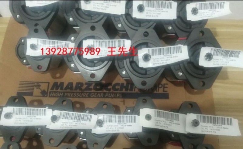  马祖奇双联齿轮泵ALP2-D-37-FG-V