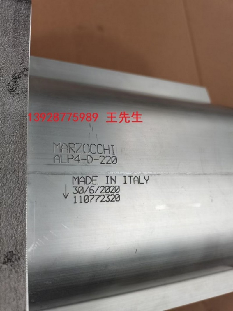  马祖奇双联齿轮泵ALP2BK1-D-9-FG-V