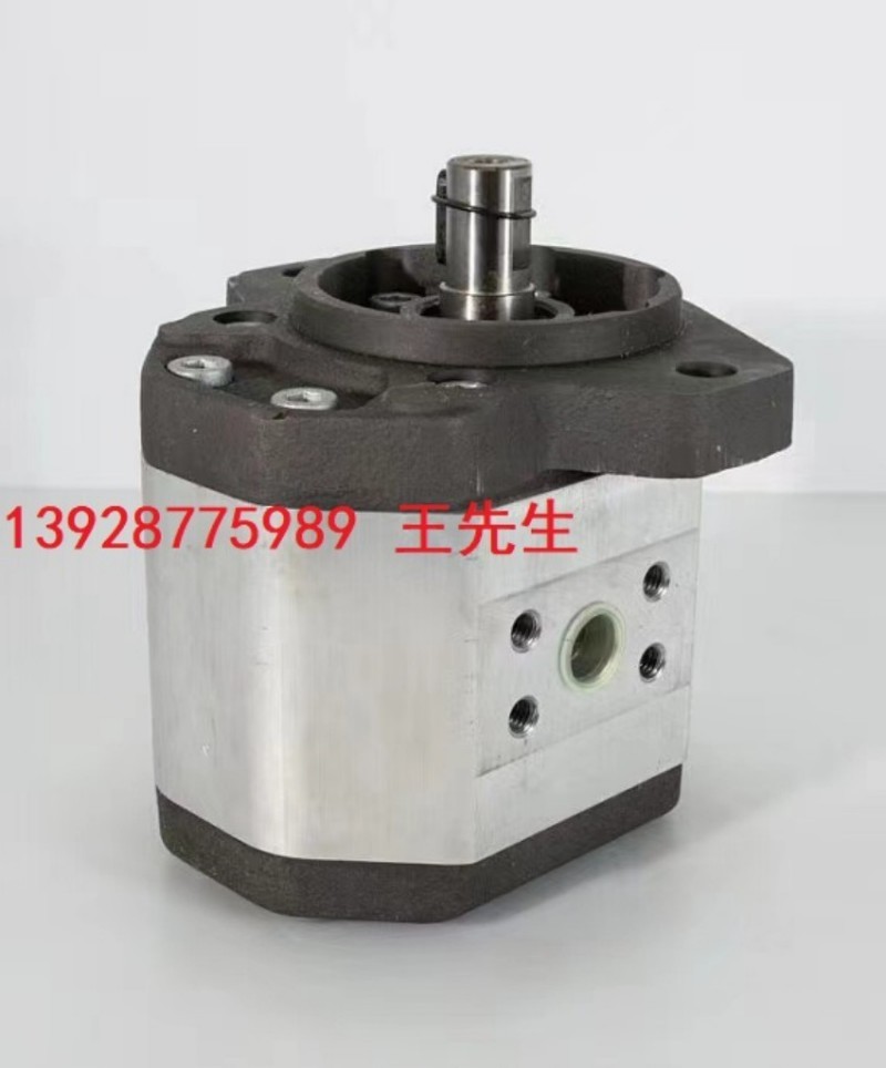  马祖奇双联齿轮泵ALP2BK2-D-12-FG-V