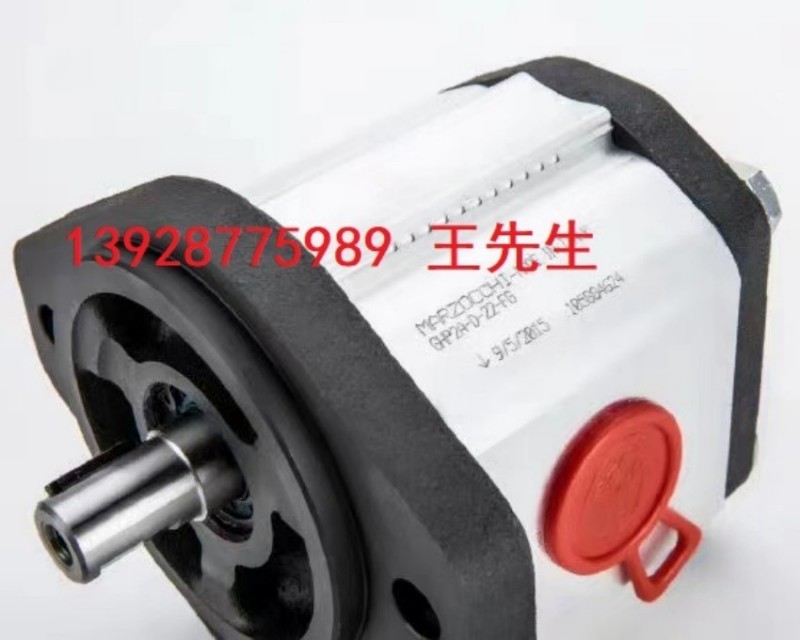  马祖奇双联齿轮泵ALP2BK2-D-13-FG-V