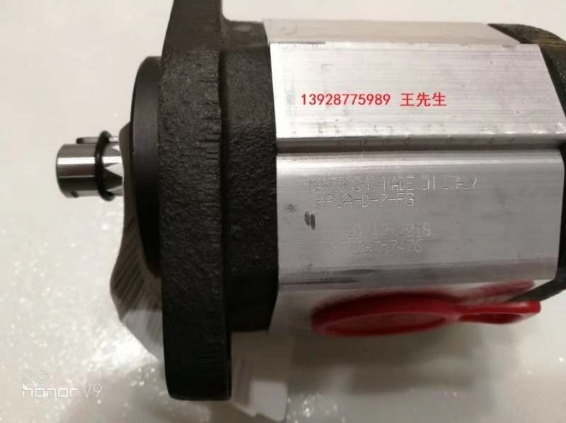  马祖奇双联齿轮泵ALP2BK2-D-20-FG-V