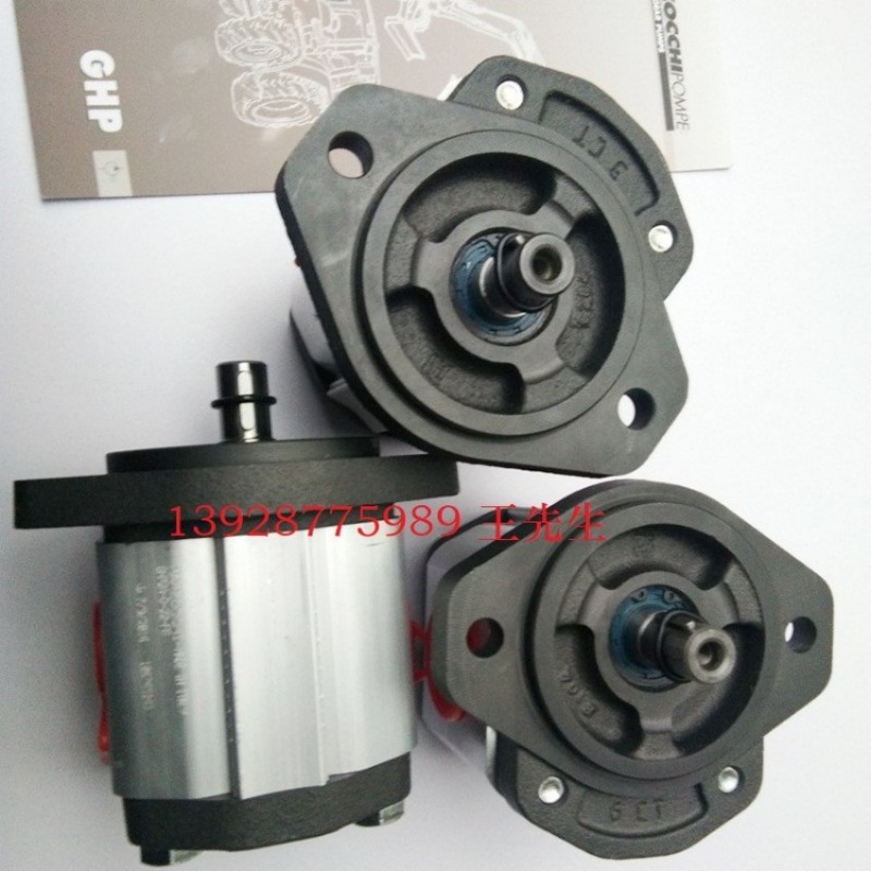  意大利马祖奇油泵 ALP2A D9