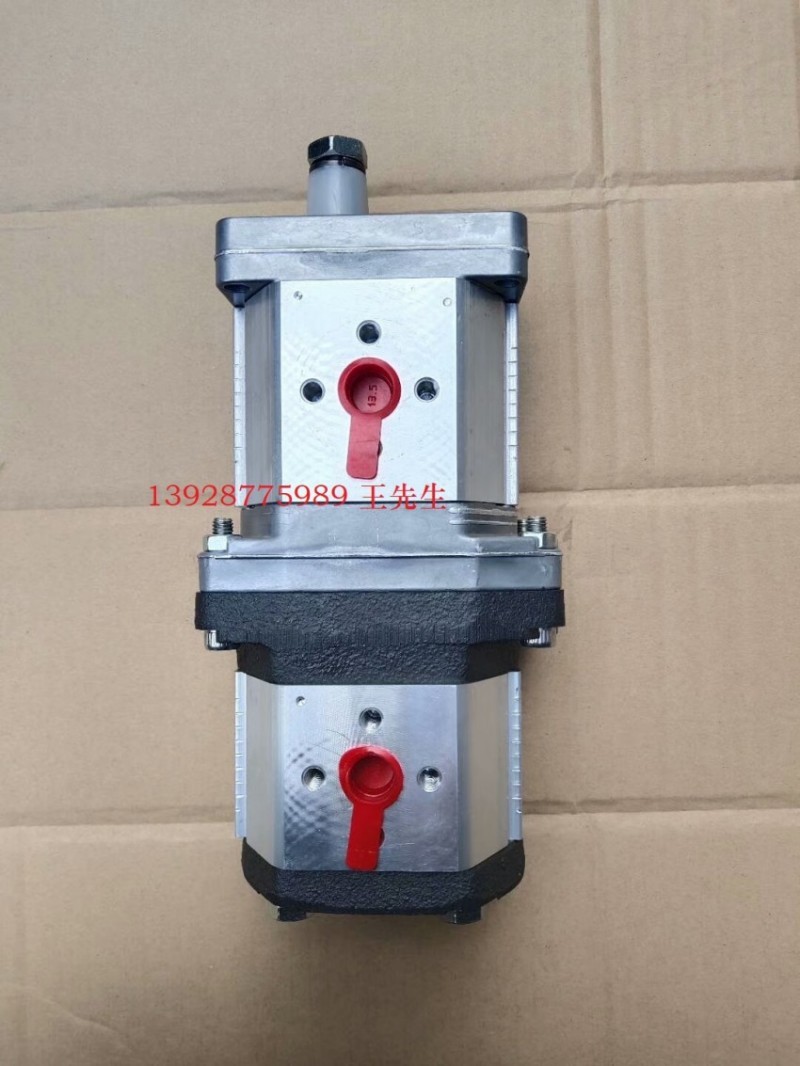  意大利马祖奇油泵 ALP2A D16