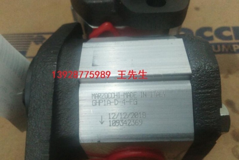  ALP1-D-2-FG 马祖奇齿轮泵ALP1-D-3-FG，