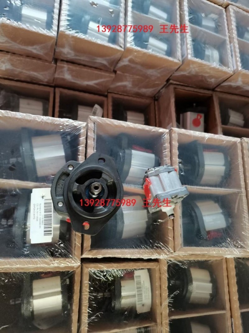  ALP2A-D-20-FG 马祖奇齿轮泵ALP2A-D-22-FG