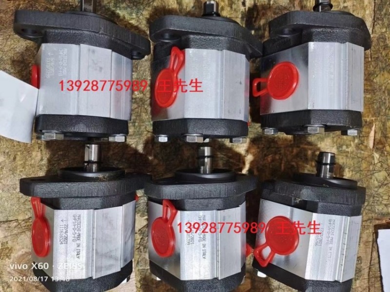  马祖奇齿轮泵ALP1-D-6-TO-E-FG，