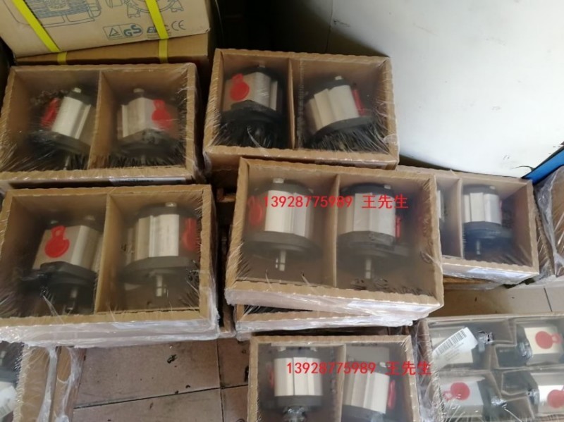 GHP2BK1-D-22 马祖奇齿轮泵GHP2BK1-D-25，