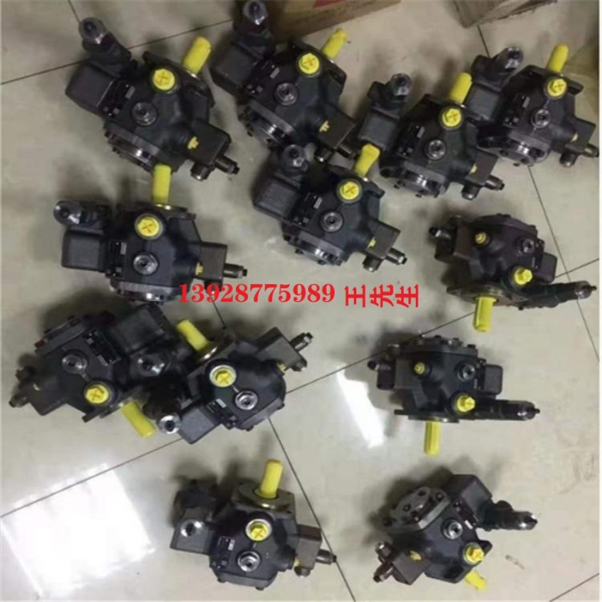 力士乐柱塞泵A10VSO45DR/31R-PPA12N00 