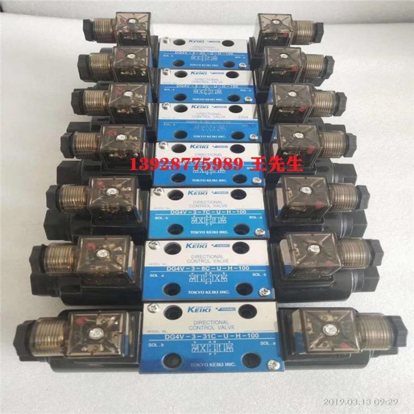 东京计器柱塞P21V-RS-11-CC-10-J 