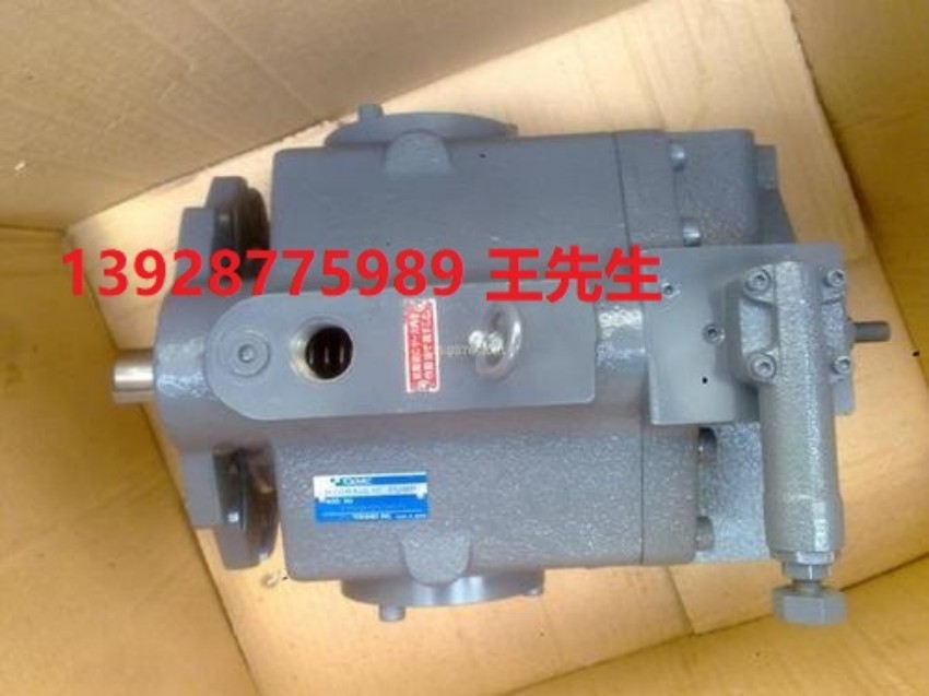  柱塞泵P31VR-20-CC-21-J,