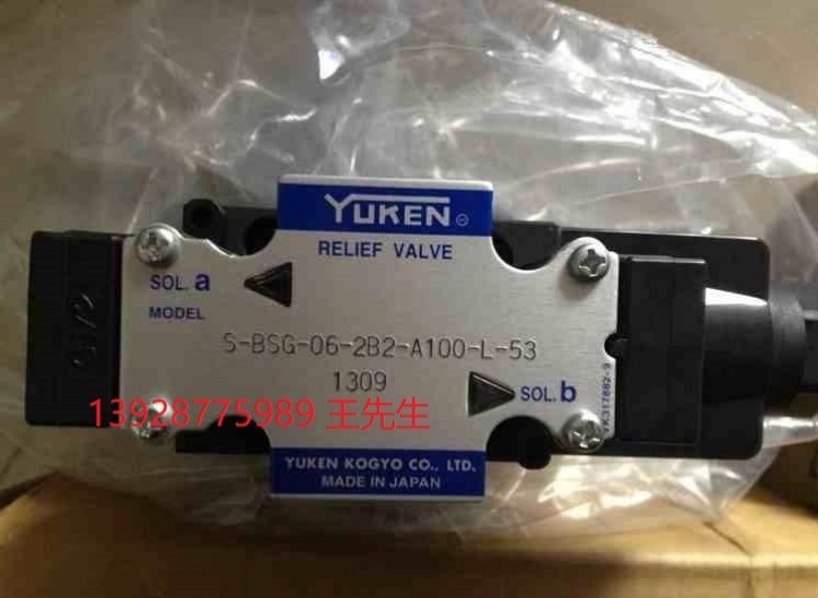 A16-F-R-01-H-K-32,A16-F-R-01-C-K-32 YUKEN油泵