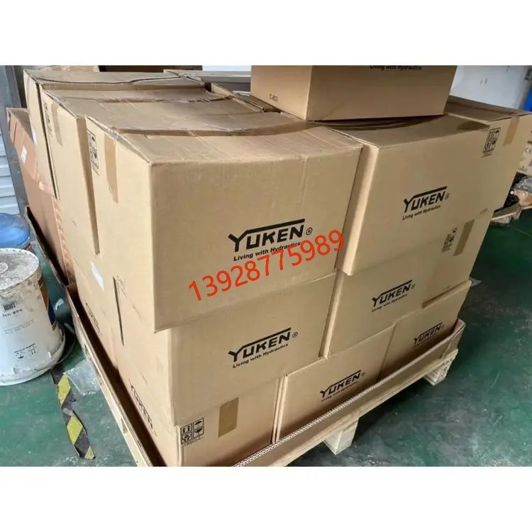 电液阀 换向阀 线圈 DSHG-04-3C3-T-A100-N1-50 注塑机械 油研YUKEN